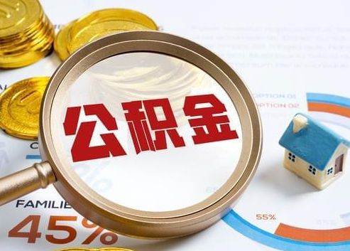 齐齐哈尔2025年政策调整对个人影响综合解析‌